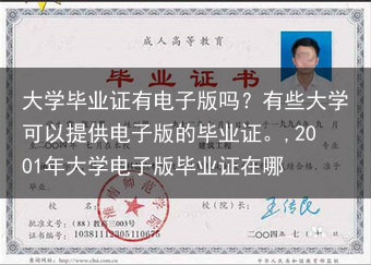大学毕业证有电子版吗？有些大学可以提供电子版的毕业证。,2001年大学电子版毕业证在哪