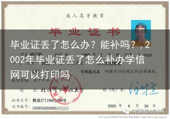 毕业证丢了怎么办？能补吗？,2002年毕业证丢了怎么补办学信网可以打印吗